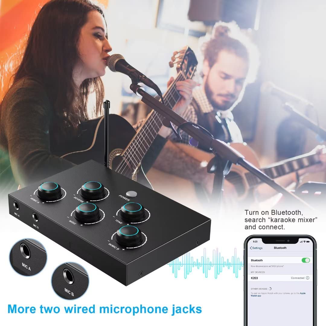 Portable Karaoke Microphone Mixer System Set